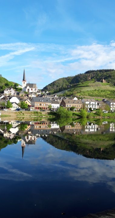 Klotten vom Conder Moselufer