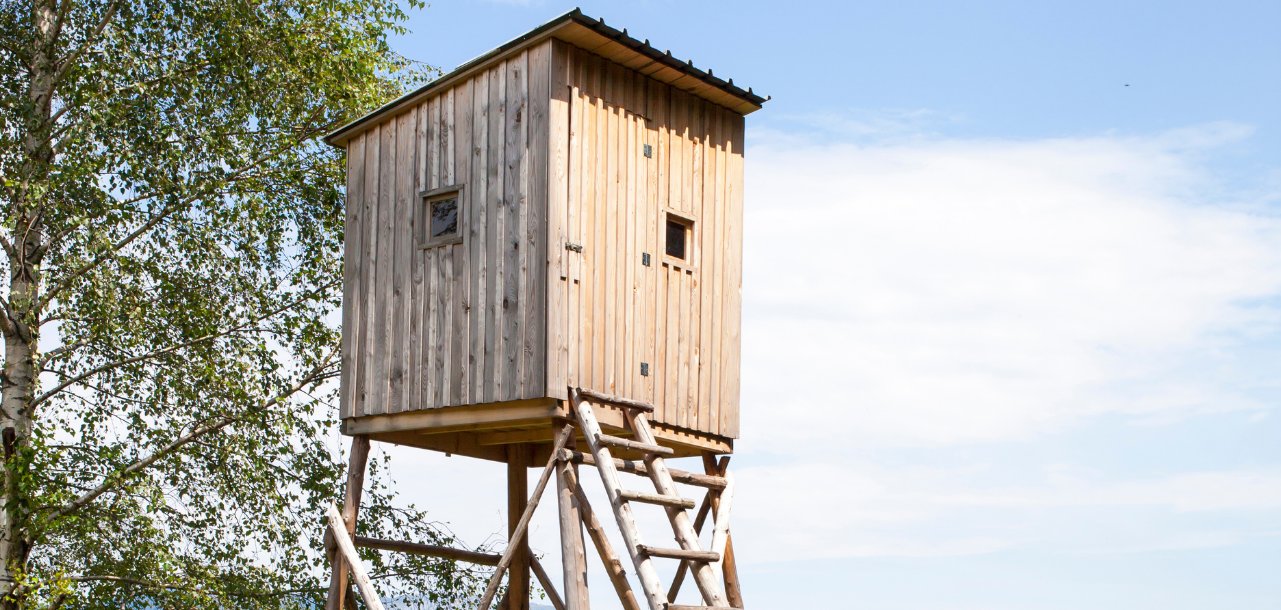 Dein Abschnittstext - 1