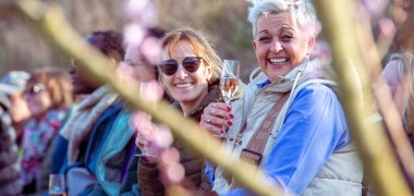 Das vielfältige Angebot im Rahmen von „Mosel erblüht" hat zahlreiche Gäste und Einheimische in die Region gezogen