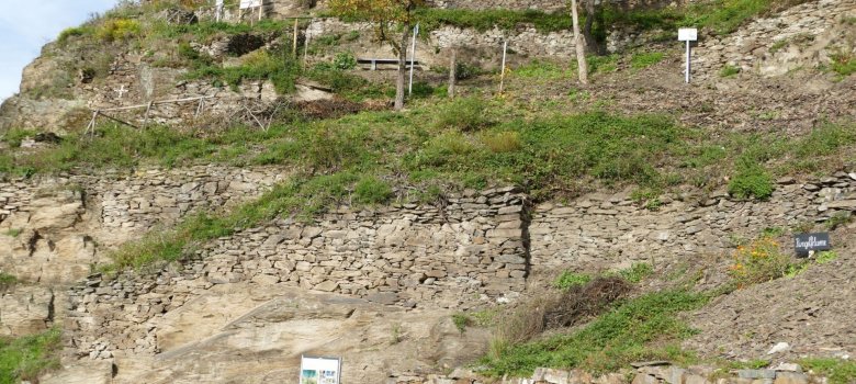 Auf der Krabaun Müden Auf der Krabaun Müden