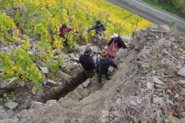 Trockenmauerbau aus der Moselregion auf dem Weg zum Immateriellen Kulturerbe Trockenmauerbau aus der Moselregion auf dem Weg zum Immateriellen Kulturerbe