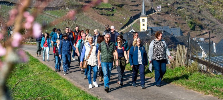 Angebote für „Mosel erblüht 2027“ anmelden Man sieht eine Gruppe aus Frauen und Männer die gerade zusammen wandern gehen