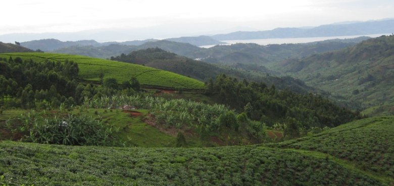 Landschaft Ruandas.