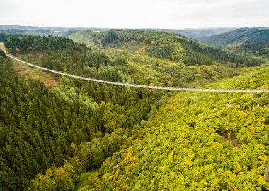 Dargestellt ist die Hängeseilbrücke Geierlay im Hunsrück.