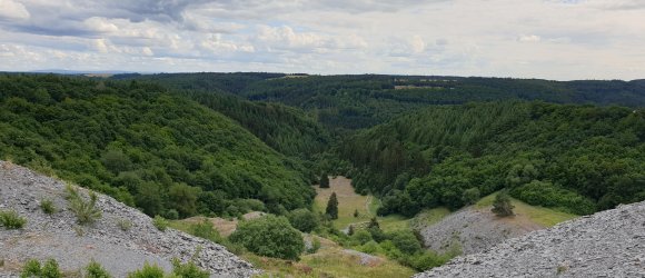 Schieferlandschaft in der Eifel