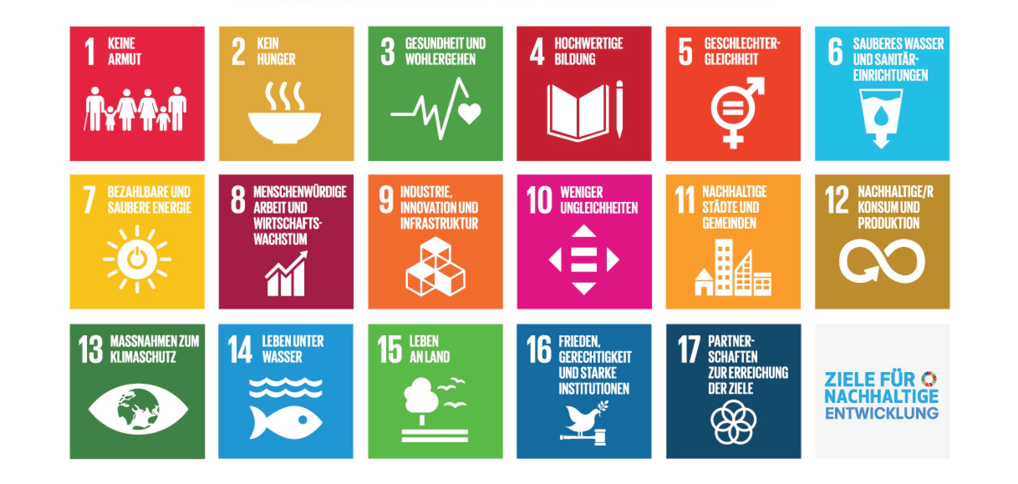 Logo SDG's Logo SDG's