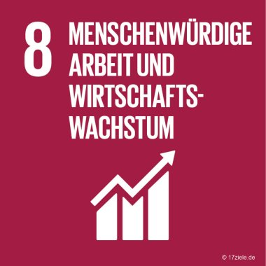 SDG-Logo Arbeit und Wirtschaftswachstum