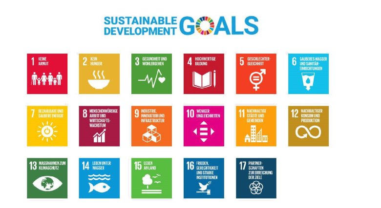 Logo SDG's