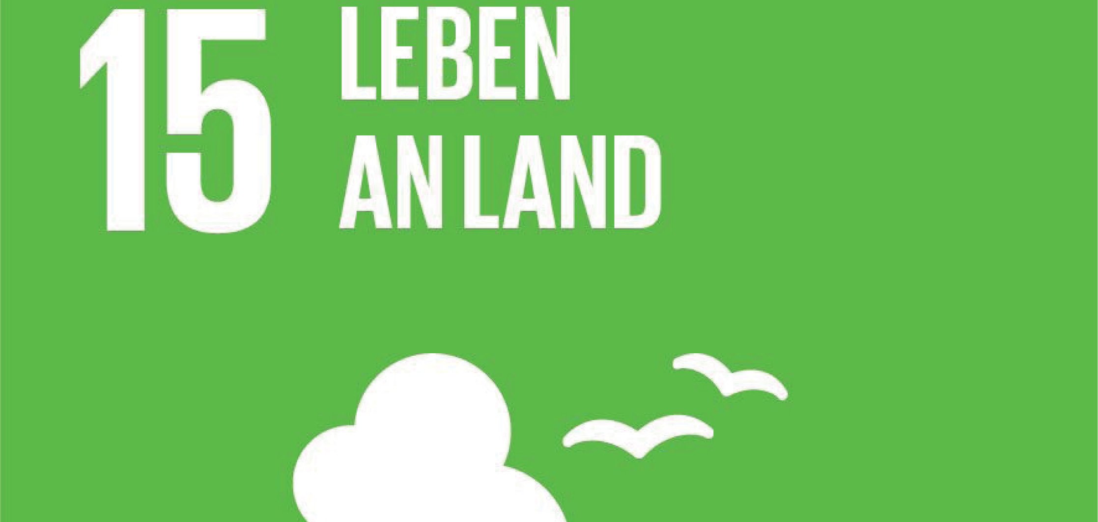 SDG-Logo Leben an Land