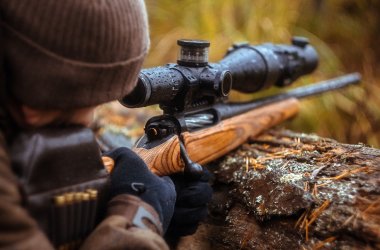 ein Gewehr mit Teleskopvisier. Jagd im Wald