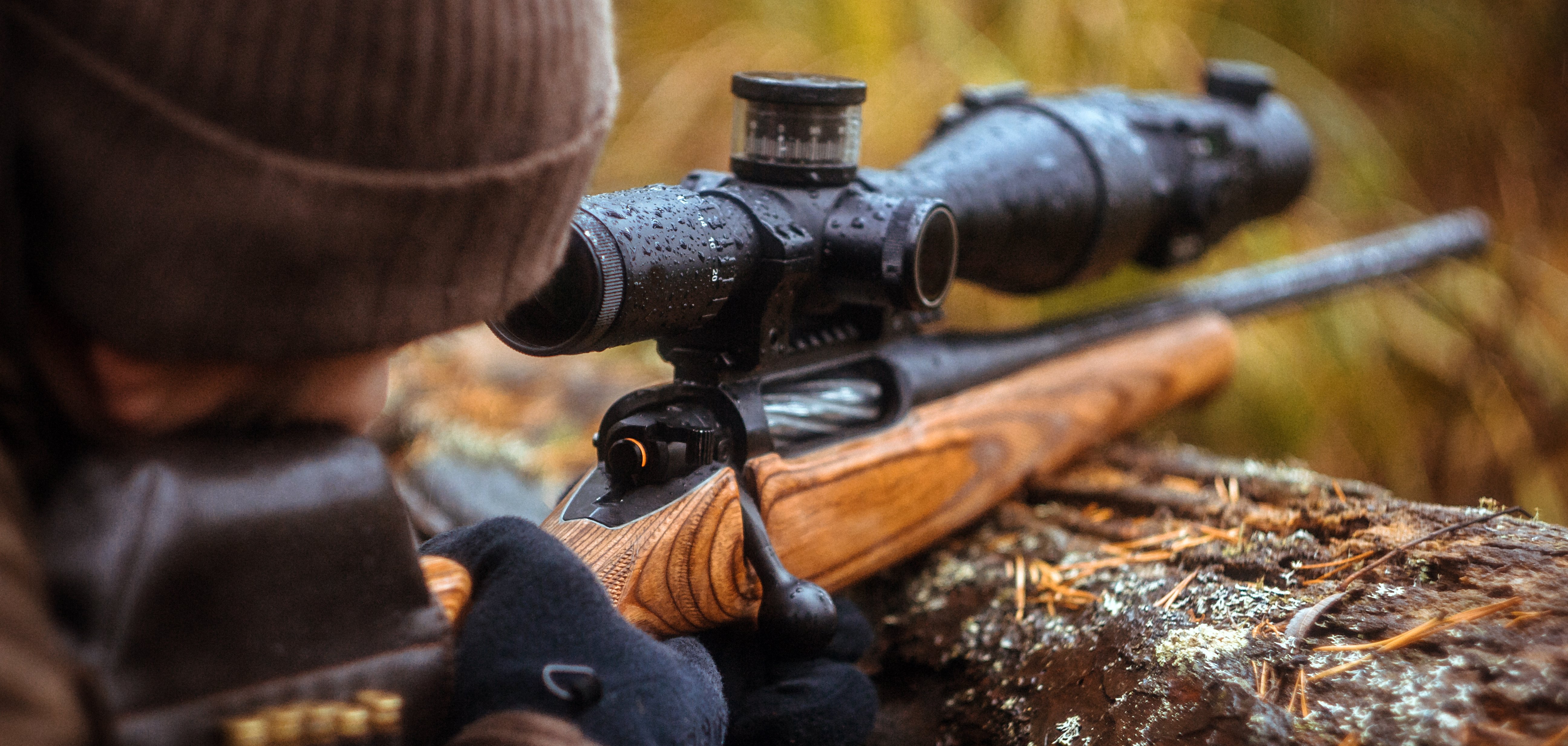 ein Gewehr mit Teleskopvisier. Jagd im Wald