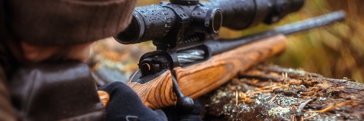 ein Gewehr mit Teleskopvisier. Jagd im Wald ein Gewehr mit Teleskopvisier. Jagd im Wald