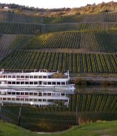 Flussschiff vor Weinbergpanorama auf der Mosel. Flussschiff vor Weinbergpanorama auf der Mosel.