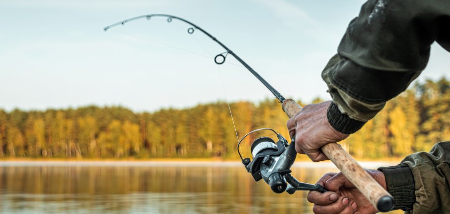 Die Hände eines Mannes in einem Urp-Plan halten eine Angelrute, ein Fischer fängt Fische in der Morgendämmerung.