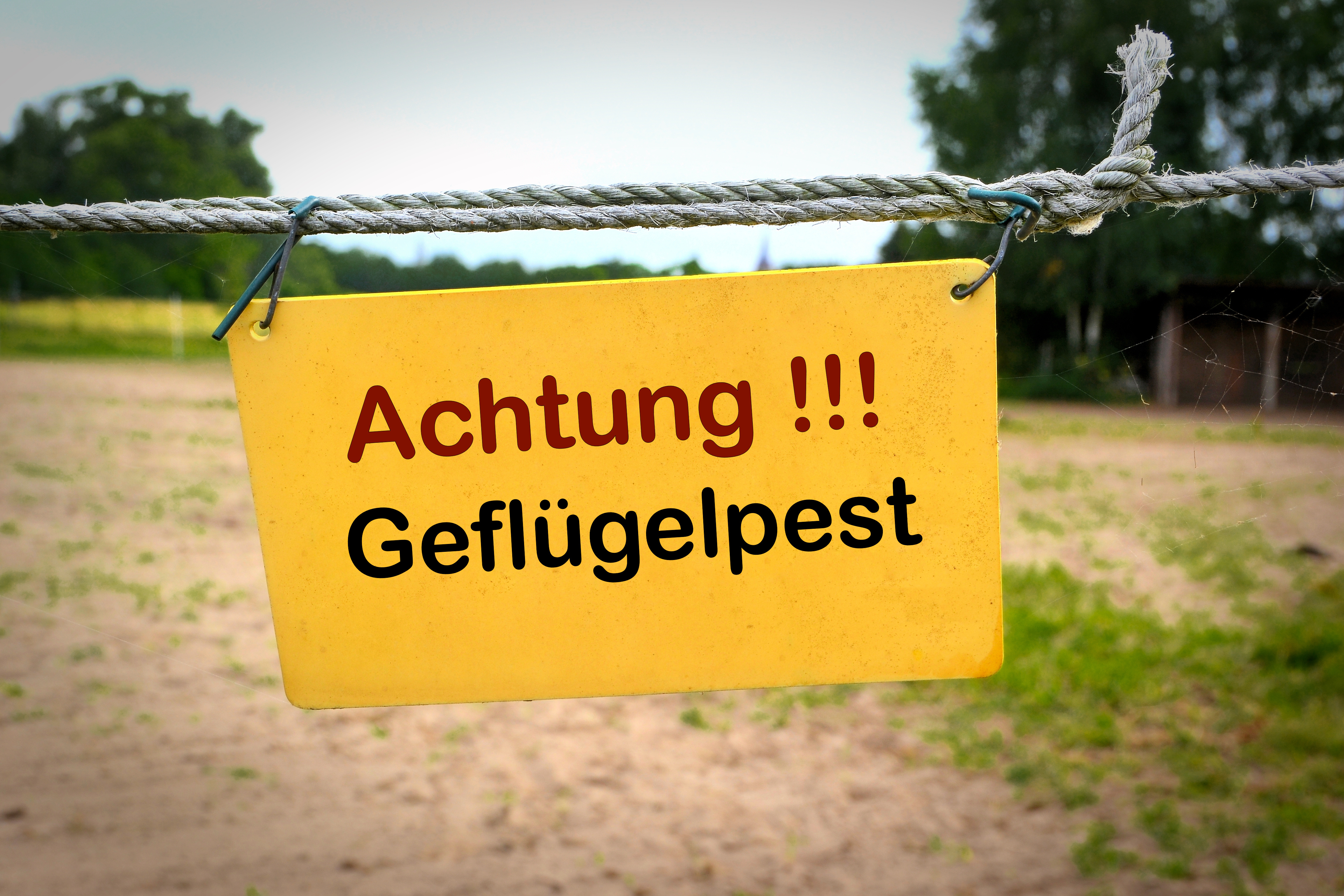 Schild am Eingang eines Bauernhofes in Deutschland mit der Aufschrift Achtung Geflügelpest.