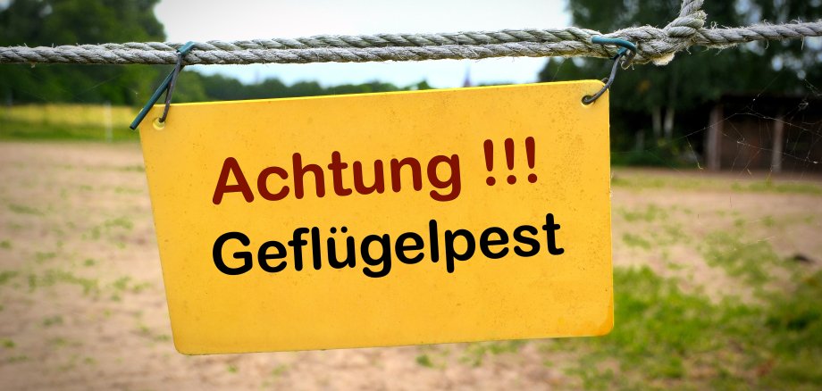 Schild am Eingang eines Bauernhofes in Deutschland mit der Aufschrift Achtung Geflügelpest.