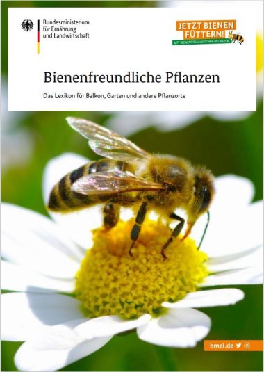 Cover der Broschüre "Bienenfreundliche Pflanzen" des Bundesamts für Ernährung und Landwirtschaft.