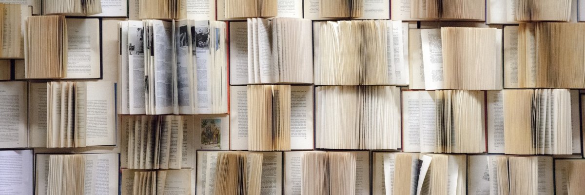 Bücherwand Bücherwand